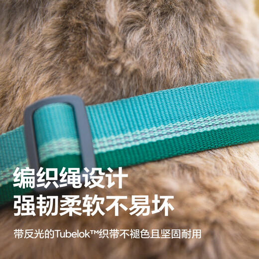 Ruffwell Ryan's web dog collar small dog ruffwear pet collar dog collar Shiba Inu dog collar collar River Rock Green S