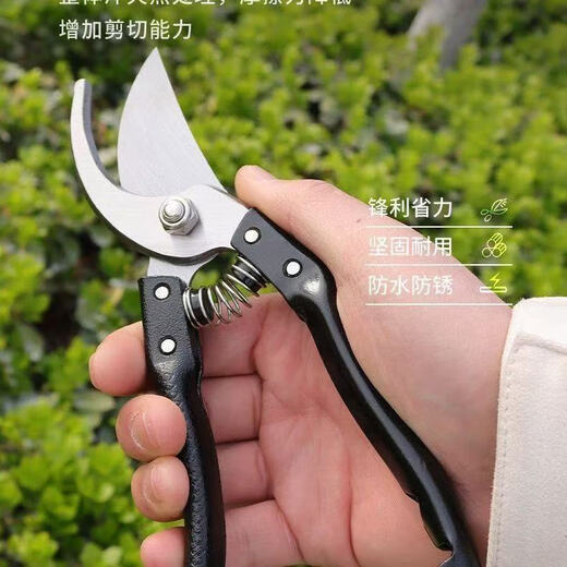 German craftsmanship imported steel branch shears, tree scissors, fruit tree shears, pruning scissors for household flowers, trees and grapes to prune branches. 100% sharp + strong hardness. Not the main picture. On sale. German imported steel blades. Clearance.