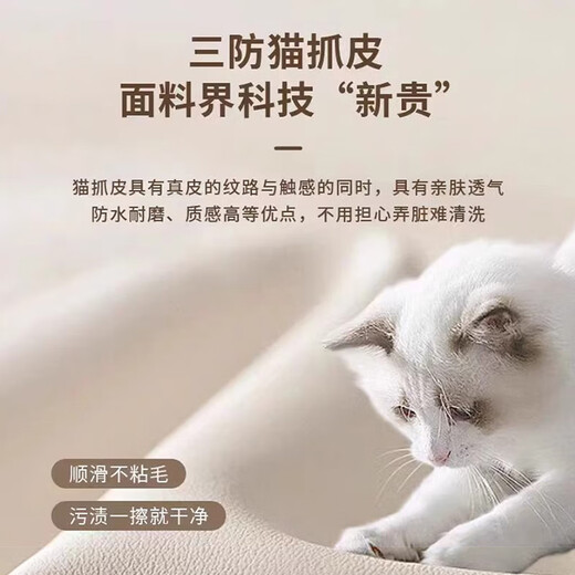 Yimianfang Sofa Bed All-in-One Dual-Purpose 2025 New Living Room Folding Sofa Bed Modern Simple Straight Row Sofa Bed #QJ11