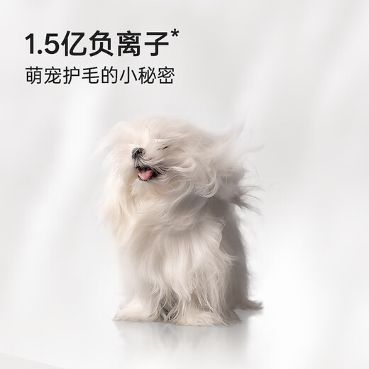 Jirpet caja de secado para mascotas F1s secador de pelo inteligente para gatos perro de secado rápido deshumidificación inteligente perros pequeños y medianos 75 litros caja de secado para mascotas blanca F1s