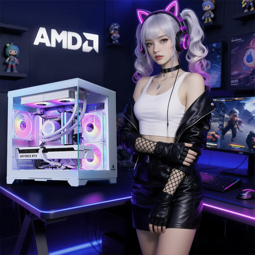 AMD R5 9600X host machine/RTX5060/4060/7650GRE/9060XT/5070/5060Ti graphics card desktop computer assembly machine DIY white sea view room configuration one 9600X+16G+500G cardless host