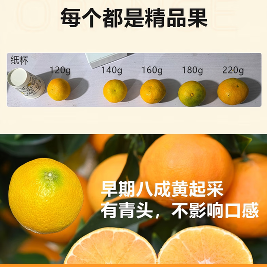 京鲜生 四川爱媛38号果冻橙 净重4.5-5斤 单果140g+ 源头直发包邮