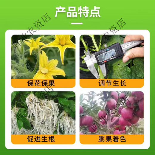 98% ammonium ester raw powder plant growth regulator DA-6 flower and fruit preserving pesticide amine ester 1KG