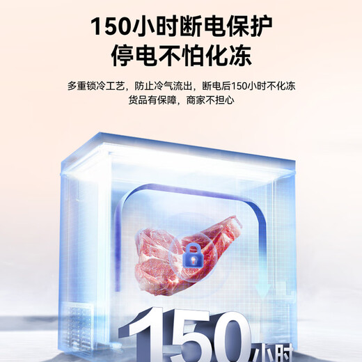 Ronshen 300L power-off protection, large freezing power, PCM antibacterial liner-35, cryogenic locking, 80% efficient defrosting, household and commercial horizontal large freezer BD/BC-300E10HNLAD