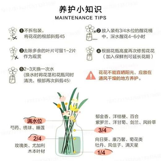 Carnation flowers holiday gift water-grown flowers for mom Yunnan flower base straight hair 10 random color carnations