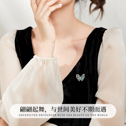 DRIG one-week brooch for women, light luxury and elegant brooch, exquisite niche anti-exposure brooch, birthday gift for mother, Dielianhua Weekly Brooch Set, Lighting Gift Box