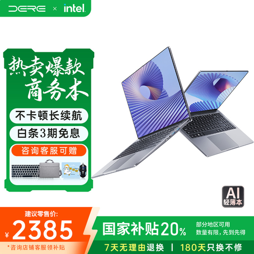 戴睿（dere）云翼系列 国家补贴笔记本电脑 15.6英寸高性能商务办公旗舰轻薄本 大学生游戏娱乐手提本 32G 2TB