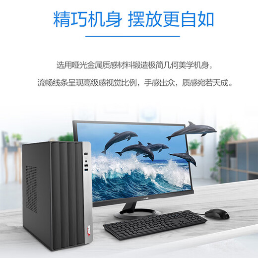 Holy Flag & ASUS Holy Lion National Subsidy (13th Generation Core i5-13450HX 16G 512G Business Keyboard and Mouse) Designer Office Desktop Computer Host Complete Machine