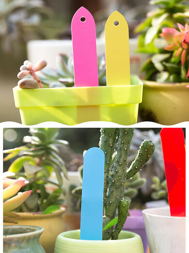 New one-word punched plastic gardening label flower label label green plant succulent label orchid label SN1382 10*2cm pink 100 pieces