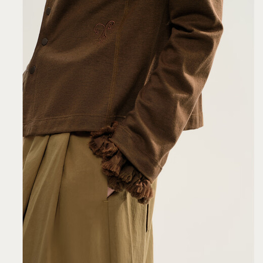 EIN言复古绵羊毛立领花边袖刺绣不规则文艺慵懒感长袖衬衫秋季款 咖色 S