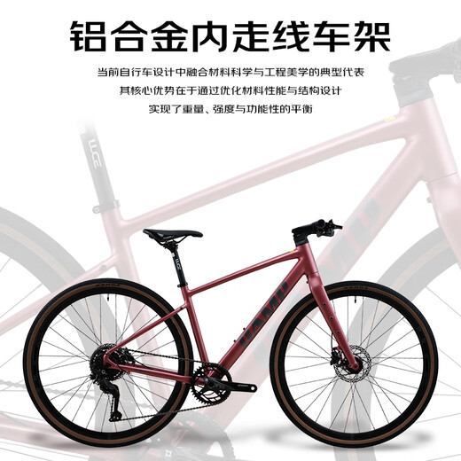 CAMP GX300 Rennrad, flacher Lenker, umfassender Offroad-Rahmen aus Aluminiumlegierung, 9-Gang-Ölscheibe, Shimano-Getriebe, Fahrrad, mattgrün, 425 Yards, 700 c