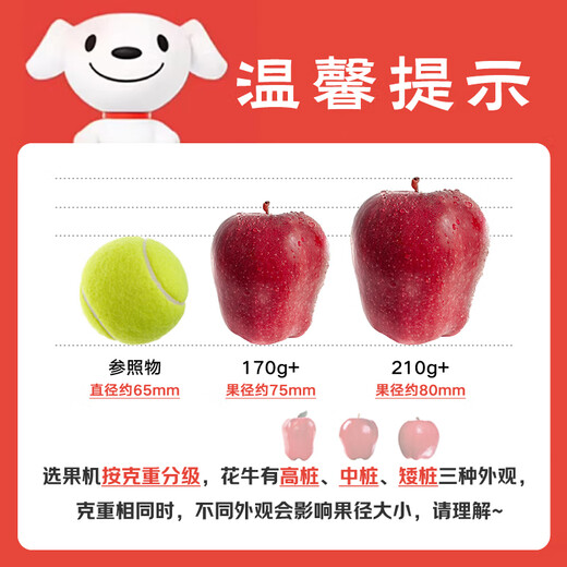 Jingxiansheng Tianshui Huaniu Apple, net weight 4.5Jin Jin is equal to 0.5kg, single fruit 210g+, fresh fruits delivered directly from the source