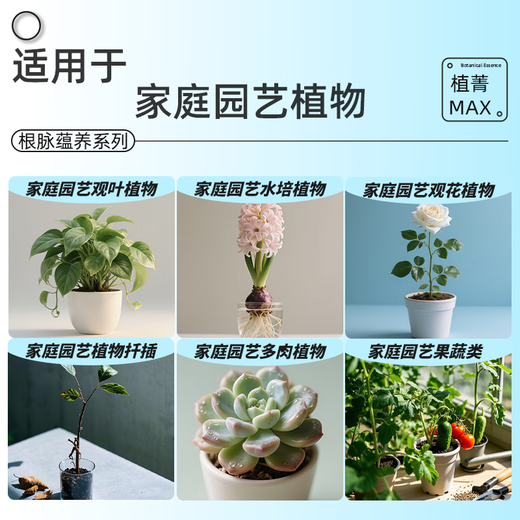 Dewoduo powerful plant rooting solution 50ml gardening cuttings strong seedlings and roots universal hydroponic soil culture flower and green plant nutrient solution