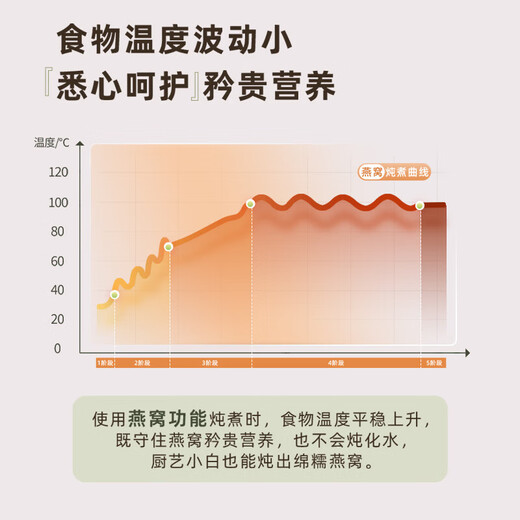 Bear Mini Health Pot Office One Person Health Cup Small Full Glass Thermostatic Kettle Insulated Electric Coaster Flower and Fruit Tea Boiling Water Electric Kettle Autumn and Winter Health Gifts Recommended YSH-F04E1 All Glass Cup 0.4L With Filter Ladle