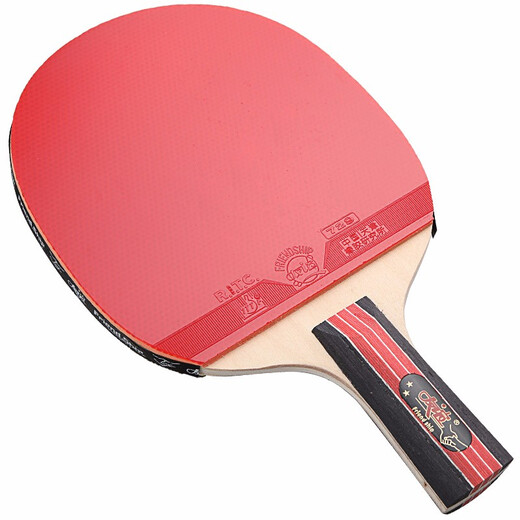 729友谊729乒乓球拍儿童初学者小学生中考训练兵乓球成品单拍乒乓拍 金二星【长柄横拍】2星