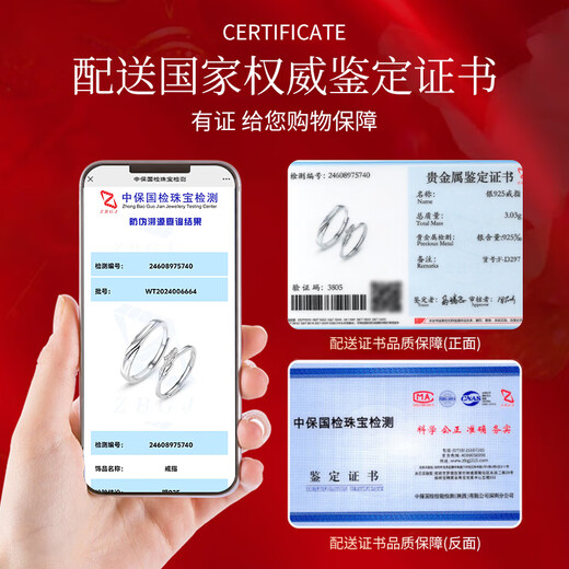 Qike Cupid's Feather Silver Couple Ring A pair of male and female rings, anniversary birthday gift for girlfriend and wife