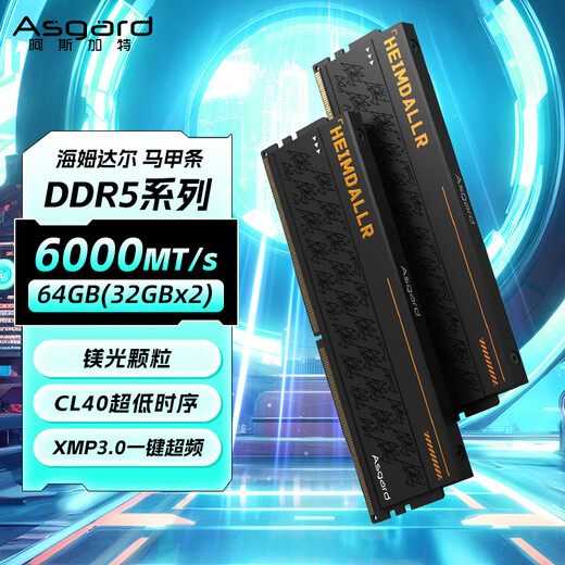 Asgard 64GB (32GBx2) DDR5 6000 desktop memory Heimdall vest strip magnesium particles CL40 black thick armor