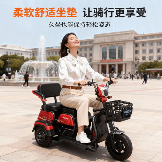 Flying Pigeon Tricycle Electric Car Home Small Elderly Leisure Battery Car Can Bring Carport for Transportation Electric Tricycle 600W Battery Life Version 22A Black Gold + Battery Life 120 Miles