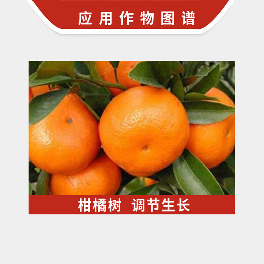 Xinruifeng Mengdi 2% Benzylaminopurine Citrus Tree Growth Regulator Plant Growth Regulator 200ml