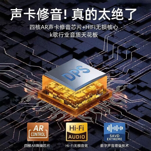 JD Logistics Microphone Speaker All-in-one Microphone Singing Small Audio Artifact Bluetooth Home Outdoor Sound Card KTV Set Microphone Set Super Long Battery Life Sky Blue Audio + Single Microphone