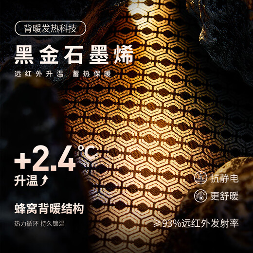 Septwolves Gänsedaunen-Graphen-Daunenjacke, Winter, Stehkragen, warme Herren-Pendler-Dickjacke, Schwarz, L