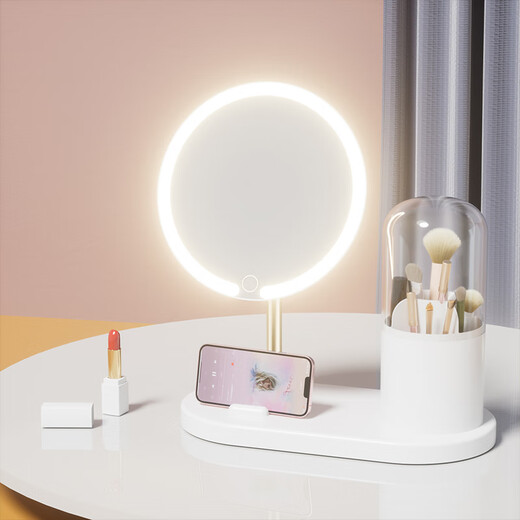 2025 New LED Mirror Cosmetic Mirror Desktop Desktop with Light Student Home Fill-Light Mirror with Makeup Storage Tube 2024 New Upgrade Minimalist White