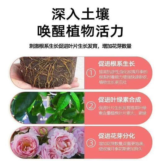 Plant bursting hormone, budding hormone, succulent leaf inserts, germination promotion, household flower growing fertilizer, old pile plant clear leaf fertilizer, old pile dry yellow leaves first aid, new buds grow, 3 barrels 7500ml