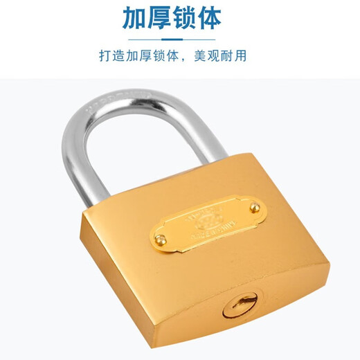 朴派仿铜挂锁防盗锁子宿舍柜门锁户外大门锁家用锁通开锁多把钥匙 20mm不通开锁（配2把钥匙）