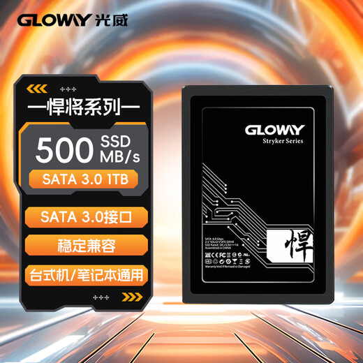 光威（Gloway）1TB SSD固态硬盘 SATA3.0 500MB/s 笔记本/台式机通用 悍将系列