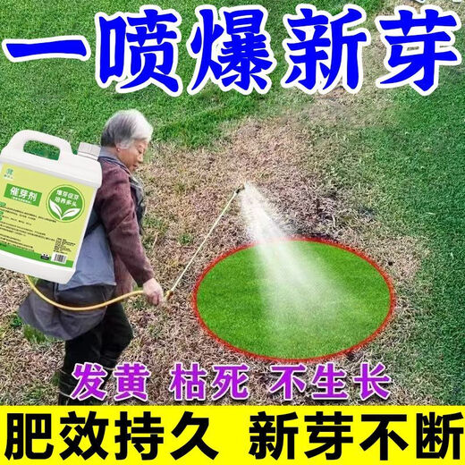 Plant bursting hormone, budding hormone, succulent leaf inserts, germination promotion, household flower growing fertilizer, old pile plant clear leaf fertilizer, old pile dry yellow leaves first aid, new buds grow, 3 barrels 7500ml