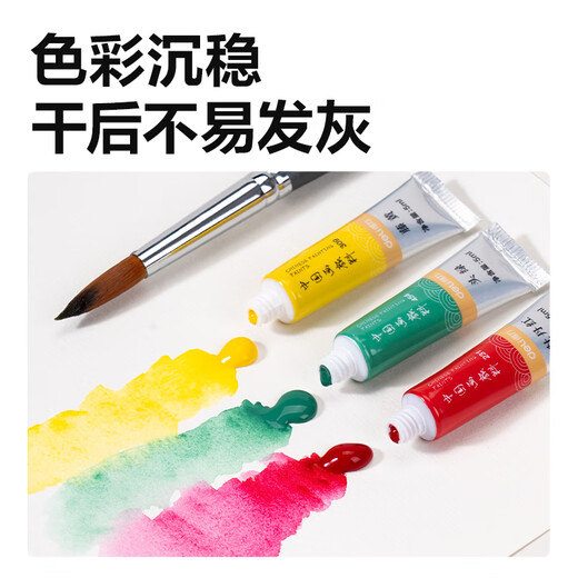 Deli (deli) traditional Chinese painting paint beginner's handbag set ink painting tools for entry-level art students, special Chinese painting paint for primary school students, brush painting complete set, free nylon mesh portable storage bag, 12 colors, 5ml-11 pieces set