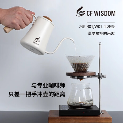 High-end hand-brewed coffee pot, food-grade home outdoor, light luxury, hanging ear-hung hand-brewed kettle, slim mouth, long mouth, high-looking kettle, matte black 600ml