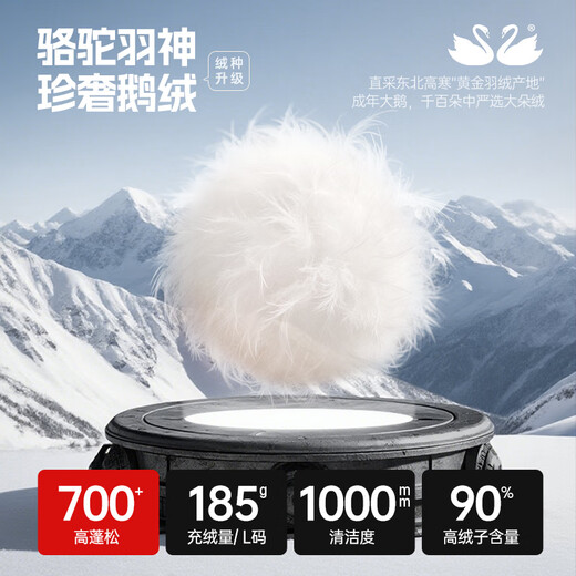 Camel Volcano PRO goose down jacket, Dilireba's same style couple style bread jacket, new goose down quick-warming down jacket, phantom black, same style for men and women, M