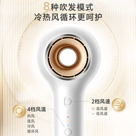 VTT Germany Lollipop high-speed hair dryer household silent negative ion high-power hair care hair dryer silent low-noise birthday gift for women only