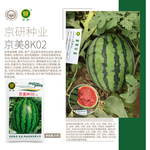 Jingyan Academy of Agricultural Sciences Watermelon Seed Jingxin Jingmei Sweet King 8424 Kirin Melon Seedless Lazy Man Rock Sugar Small Watermelon Seed Jingyan Jingmei 8K02 10g