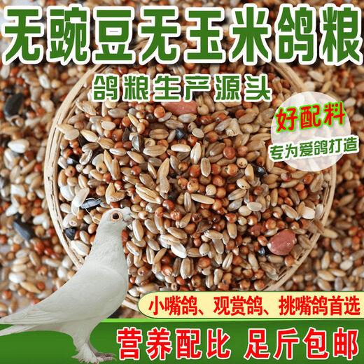 New pigeon food 20 Jin Jin is equal to 0.5 kg. Corn-free pigeon food with corn pigeon feed racing nutrition pigeon food for adult and young pigeons 5 Jin Jin is equal to 0.5 kg. Corn-free pigeon food without peas 20 Jin Jin is equal to 0.5 kg.