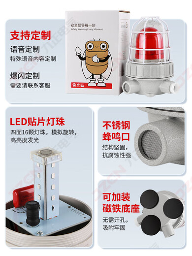 BBJ explosion-proof sound and light alarm 24V explosion-proof alarm light 220V industrial mine warning flashing light (gray base) explosion-proof sound and light type BBJ-1 24V