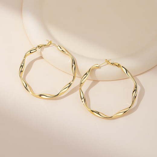 Qlady Mobius gold silver needle earrings women's plain hoop earrings 2025 new light luxury niche high-end earrings earrings