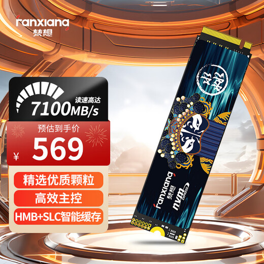 梵想（FANXIANG）1TB SSD固态硬盘 M.2接口NVMe协议PCIe4.0x4 PS5台式机笔记本电脑扩展硬盘 PC存储配件 S790E