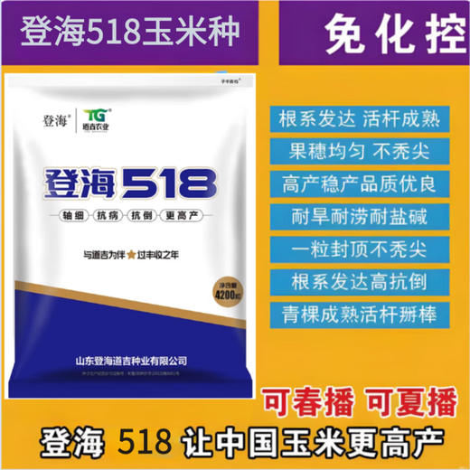 518 Высокоурожайные семена кукурузы Полная коллекция двойных клеток Устойчивость к полеганию и болезням Жесткие палочки Академия сельскохозяйственных наук Кукуруза 518 4200 зерен
