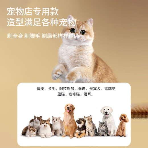 Pet shaver for trimming dogs and cats, special electric hair clipper for golden retrievers, Teddy pet hair clipper, standard + spare blade