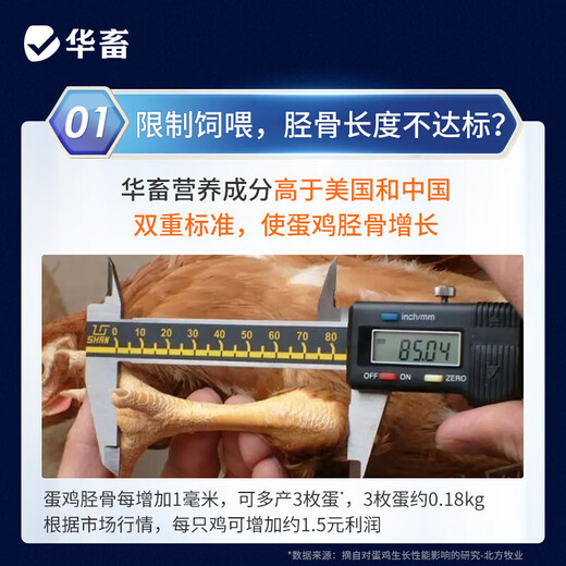 Huazhu 5 laying hen premix, special feed for chicks in the early stage of egg production, shell powder, soybean meal, trace element additives, 1 bag, laying hen egg premix, 50Jin, Jin is equal to 0.5kg