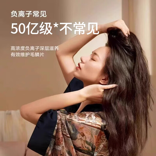 Laifensheng National 3C Certification丨5 billion negative ions for hair care High-speed hair dryer household silent negative ions high power does not damage hair Huaqiangbei hair dryer gift champagne gold 5 billion moisturizing negative ions丨constant temperature quick-drying hair care 2025 new style丨10-year warranty only replacement not repair丨Gift box