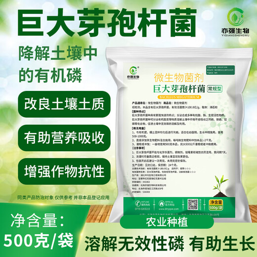 YIQIANGSHENGWU 500g/pack Bacillus megaterium solubilizes phosphorus and potassium, improves soil, improves organic matter, promotes root growth 500g/pack