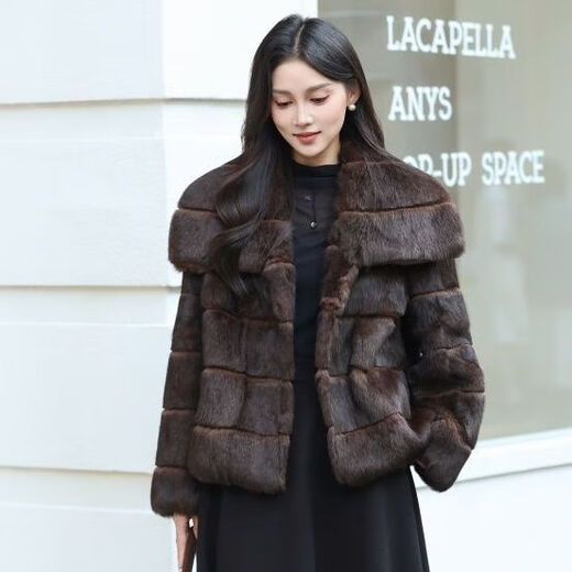 Gu Bing Rex Rabbit Fur Short Jacket for Women Navy Collar Design Temperament Socialite Winter New Product Simple and Trendy Brown M Recommended Weight 90/110 Jin Jin is equal to 0.5 kg