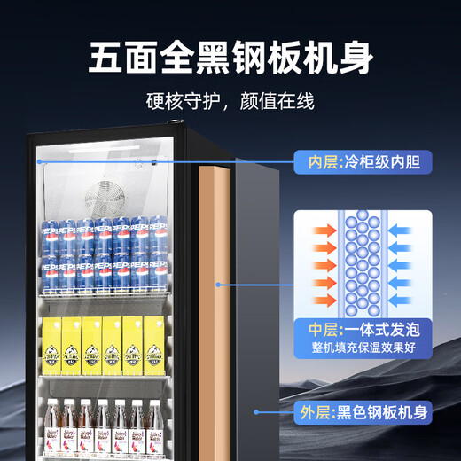 Star display cabinet refrigerated fresh-keeping cabinet beverage display cabinet freezer commercial refrigerated cabinet air-cooled defrost wine cabinet single-door vegetable and fruit preservation convenience store sample cabinet LSC-235H