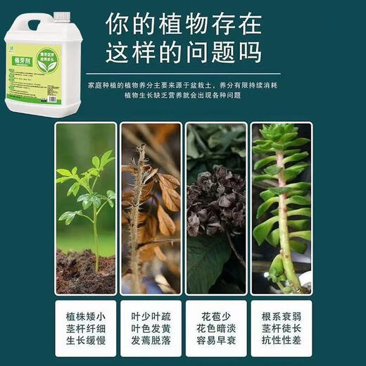 Plant bursting hormone, budding hormone, succulent leaf inserts, germination promotion, household flower growing fertilizer, old pile plant clear leaf fertilizer, old pile dry yellow leaves first aid, new buds grow, 3 barrels 7500ml