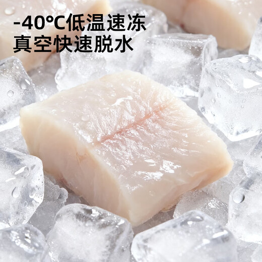 WEYES freeze-dried cod fillet whole piece adult cat and dog pet snacks freeze-dried fish jerky nutrition