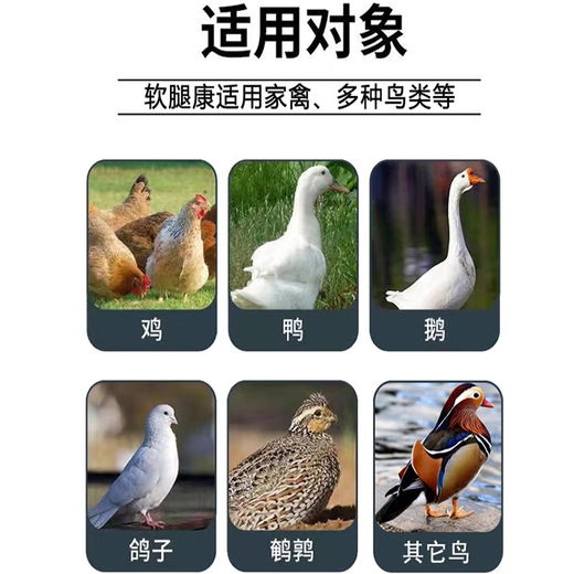 Freeze-dried powder for ducks, chicken, duck and goose diseases freeze-dried powder, soft foot, lame disease, serositis, anti-viral veterinary breeding medicine, one bag, complete treatment of chicken, duck and goose diseases