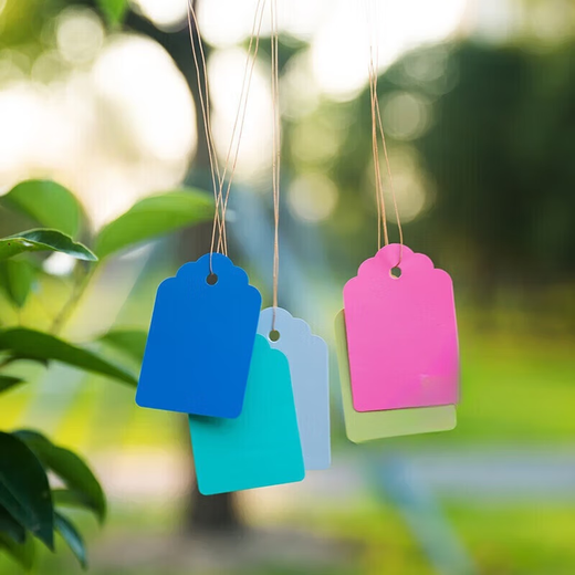 Arbor Day tag, plant tag, hanging tag, sapling, tree adoption tag, children's name information, plastic waterproof tag, 3*4.5cm blue, 100 pieces